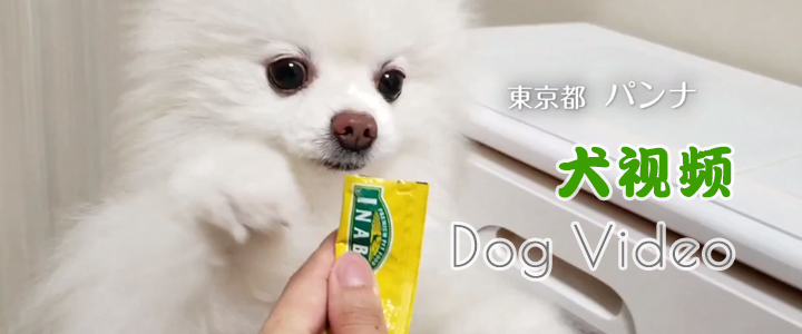 投稿動(dòng)畫(huà)CM第二弾