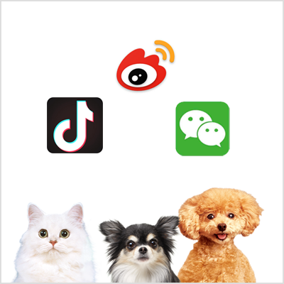 官方社交媒體賬戶(hù)