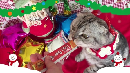 伊納寶啾嚕篇CIAOちゅ～る_Xmas