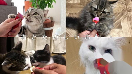 伊納寶2019年冬募集視頻CIAOちゅ～るTVCM