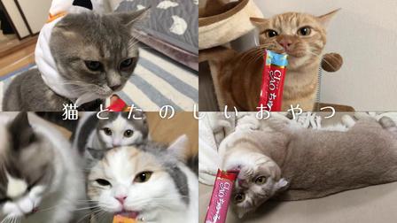 伊納寶2019年冬募集視頻CIAOちゅ～るTVCM