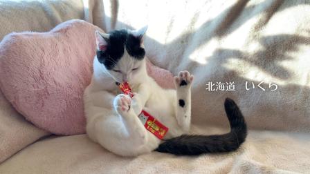 伊納寶2019年冬募集視頻CIAOちゅ～るTVCM
