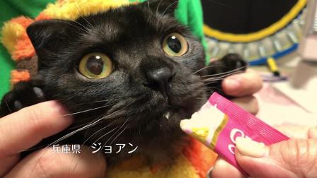 伊納寶2018年冬募集視頻CIAOちゅ～る_D