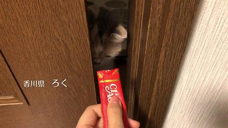 伊納寶2018年冬募集視頻CIAOちゅ～る_C