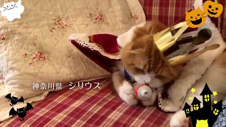 啾嚕 CM 萬圣節(jié) 「Happy Halloween篇」A