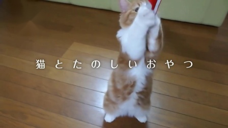 2017年募集 啾嚕CM 拜拜篇 2017年冬募集ちゅ