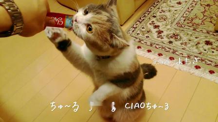 （日文）啾嚕MV【CIAOちゅ?るMV】「ちゅ