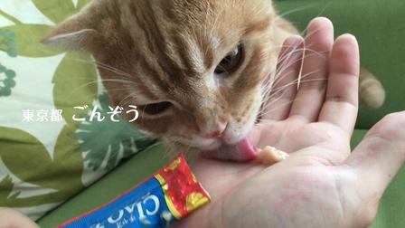 伊納寶2016年冬募集視頻CIAOちゅ～る_B