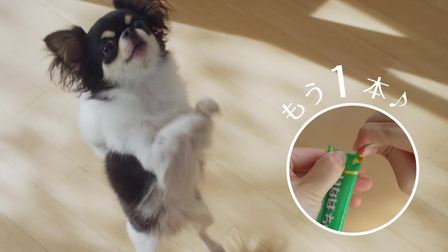 伊納寶全價(jià)成年期犬糧啾嚕 再來一只篇い