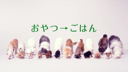 伊納寶全價(jià)成年期犬糧啾嚕 主食篇いなば