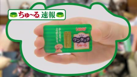 伊納寶2018年募集旺好啾嚕いなばちゅ～る