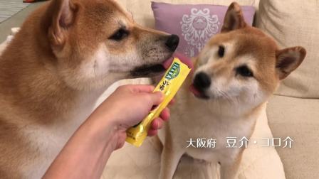 伊納寶2018年募集旺好啾嚕いなばちゅ～る