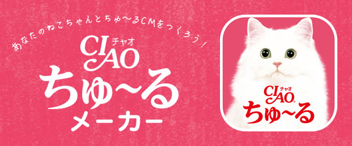 活動(dòng)3