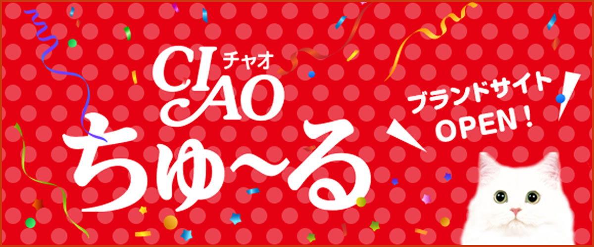 活動(dòng)10